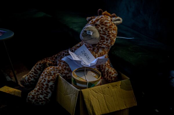 FestiwalKieślowski24d2 (14 z 1)